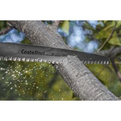 SEGHETTO SEGACCIO CASTELLARI SME 30 G