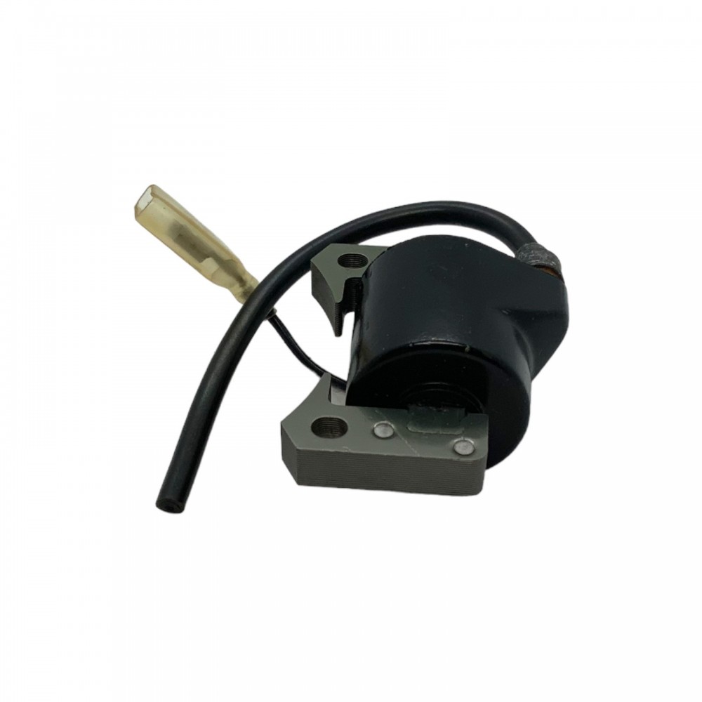 ASTA TELESCOPICA PROFESSIONALE UNIVERSAL