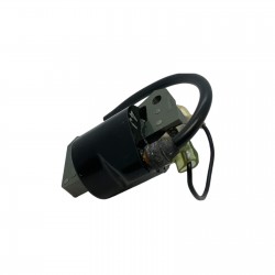 MODULO DI ACCENSIONE PER FS 86 FS 81
