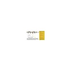 CATENA ORIGINALE STIHL 53 MAGLIE 3/8 1,3