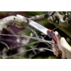 SEGHETTO SEGACCIO STOCKER MAESTRAL 250 PROFESSIONALE DA POTATURA