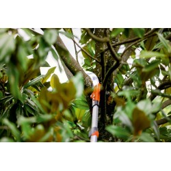 SEGHETTO STOCKER SIRKOS 330 TC CON