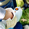 DECESPUGLIATORE STIHL FS 55 R CON MOTORE A SCOPPIO 2 MIX 27,2 CC+ ACCESSORI