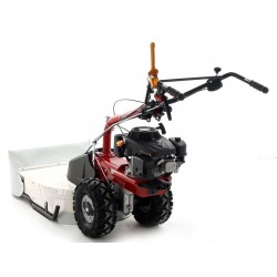 TRINCIAERBA EUROSYSTEMS P70 EVO MOTORE