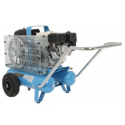MOTOCOMPRESSORE CAMPAGNOLA MC 545 HONDA GP 160  RACCOLTA OLIVE
