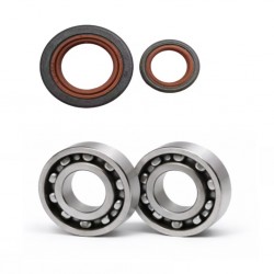 KIT REVISIONE MOTOSEGA STIHL MS 462 CM