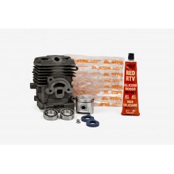 KIT REVISIONE MOTORE...