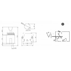 DEVIATORE FRECCE 12/24V IP53 LEVA 31 MM COMPATIBILE COBO FIAT SAME
