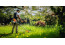 Come usare il decespugliatore in primavera: