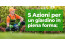 5 azioni per un giardino in piena forma: la manutenzione continua fa la differenza