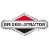 Briggs & Stratton